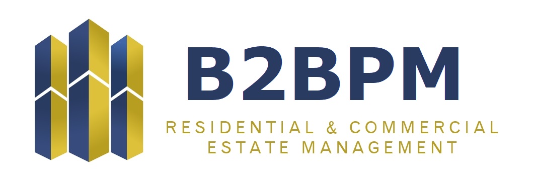 B2BPM Logo